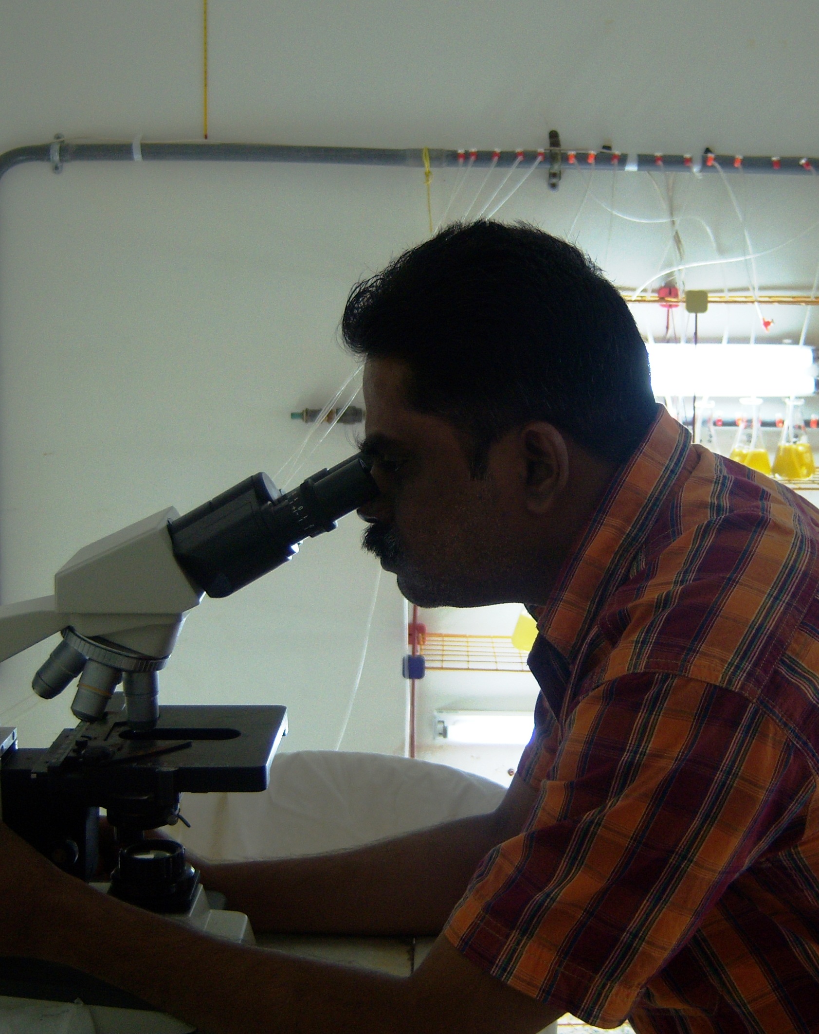 Dr.BoraSairam